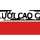 cualuoivietnhatnet