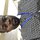 desmondjoekyeremeh