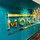 moneytreerealty82