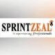 sprintzealempoweringprofession