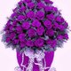 thania_40_40