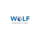 wolfconsulting11