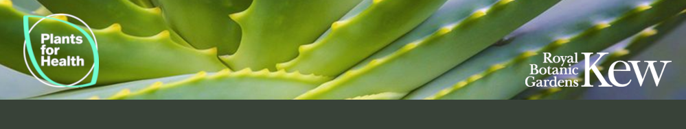 Plants for Health banner, with leaves in the background. - Plants