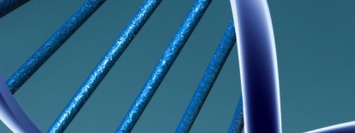 Animated Image of DNA. - GRN