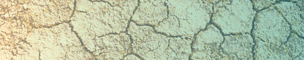 Banner with image of dry ground. - Wesley Tingey