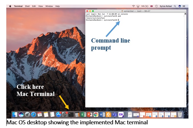 command line for extraction keywords out of jpg and creating a csv file mac