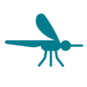 A teal and white icon representing non-communicable diseases.