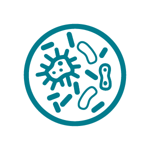 A teal on white icon representing Antimicrobial Resistance.