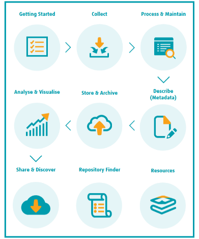 Data Management Basics Icon