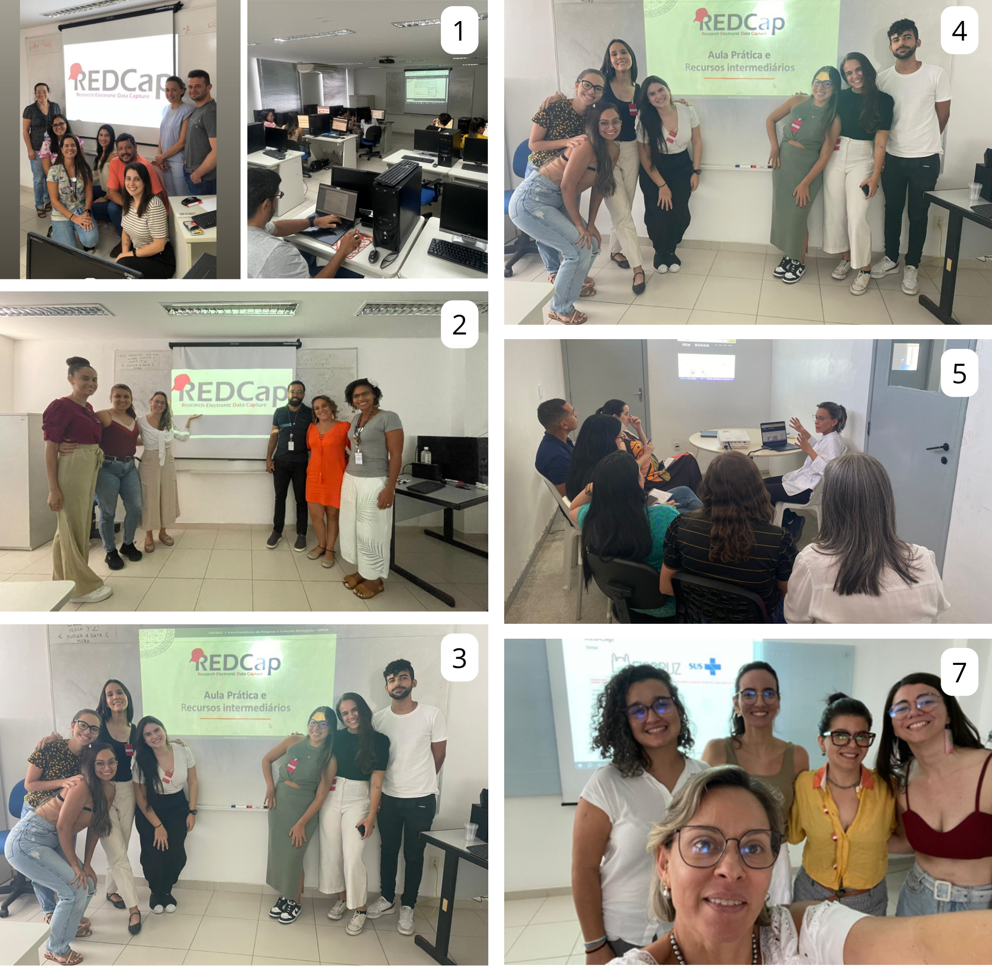 Collage de fotos de grupo de las sesiones REDCap.