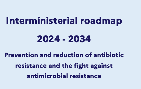 Interministerial roadmap 2024 - 2034: Prevention and reduction of antibiotic resistance and the fight against antimicrobial resistance