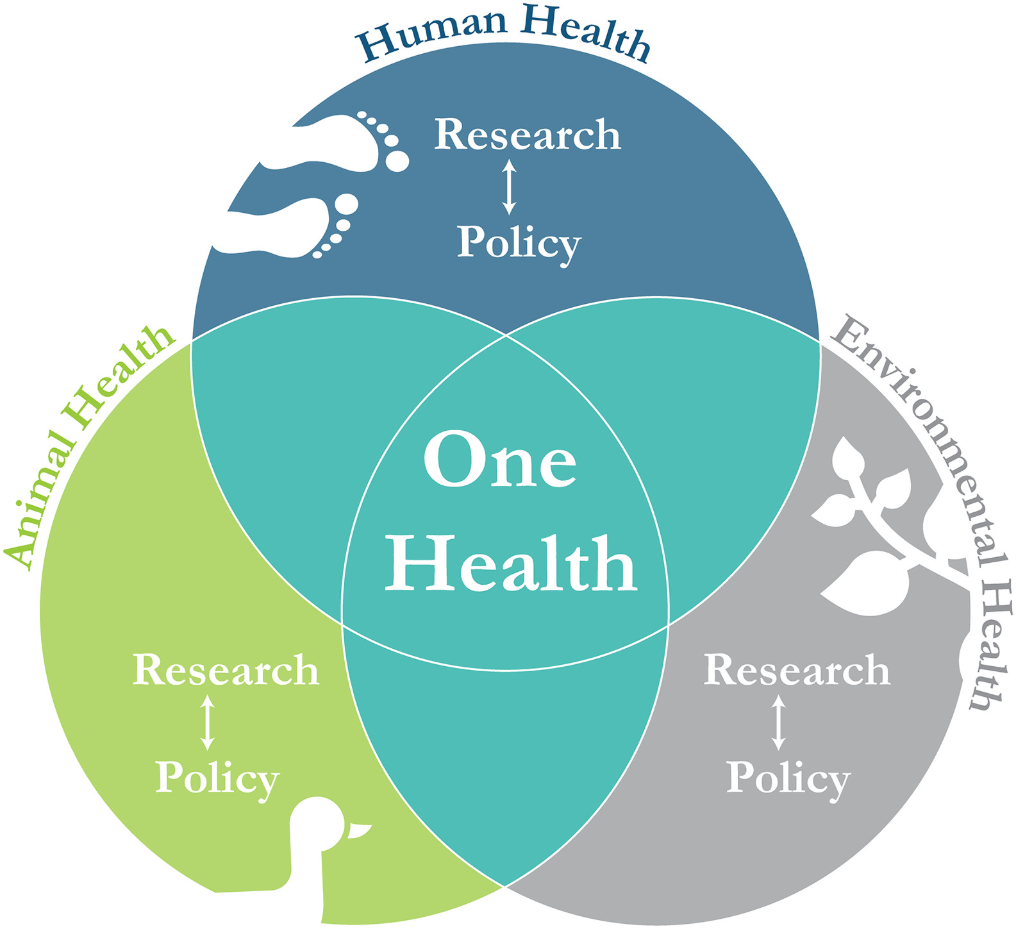 one health framework