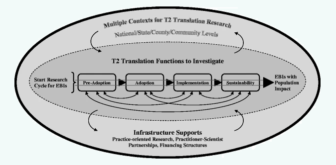 t2 translation findings