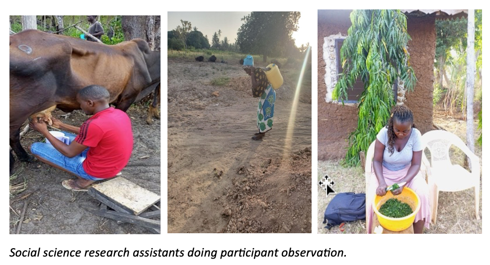 SSRA Participation image