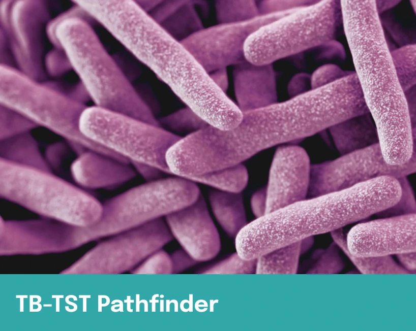 TB-TST Pathfinder