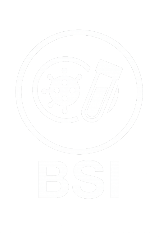 BSI logo