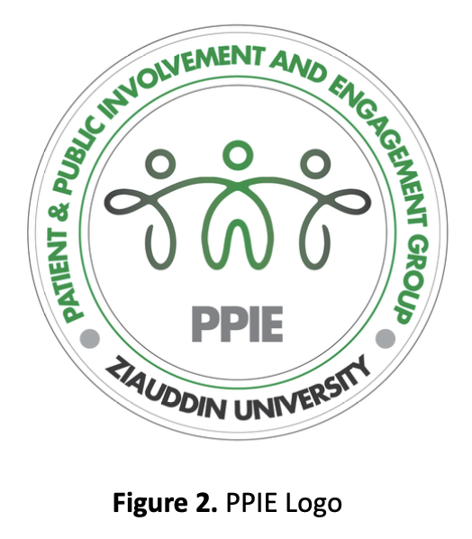 Ziauddin PPIE Logo