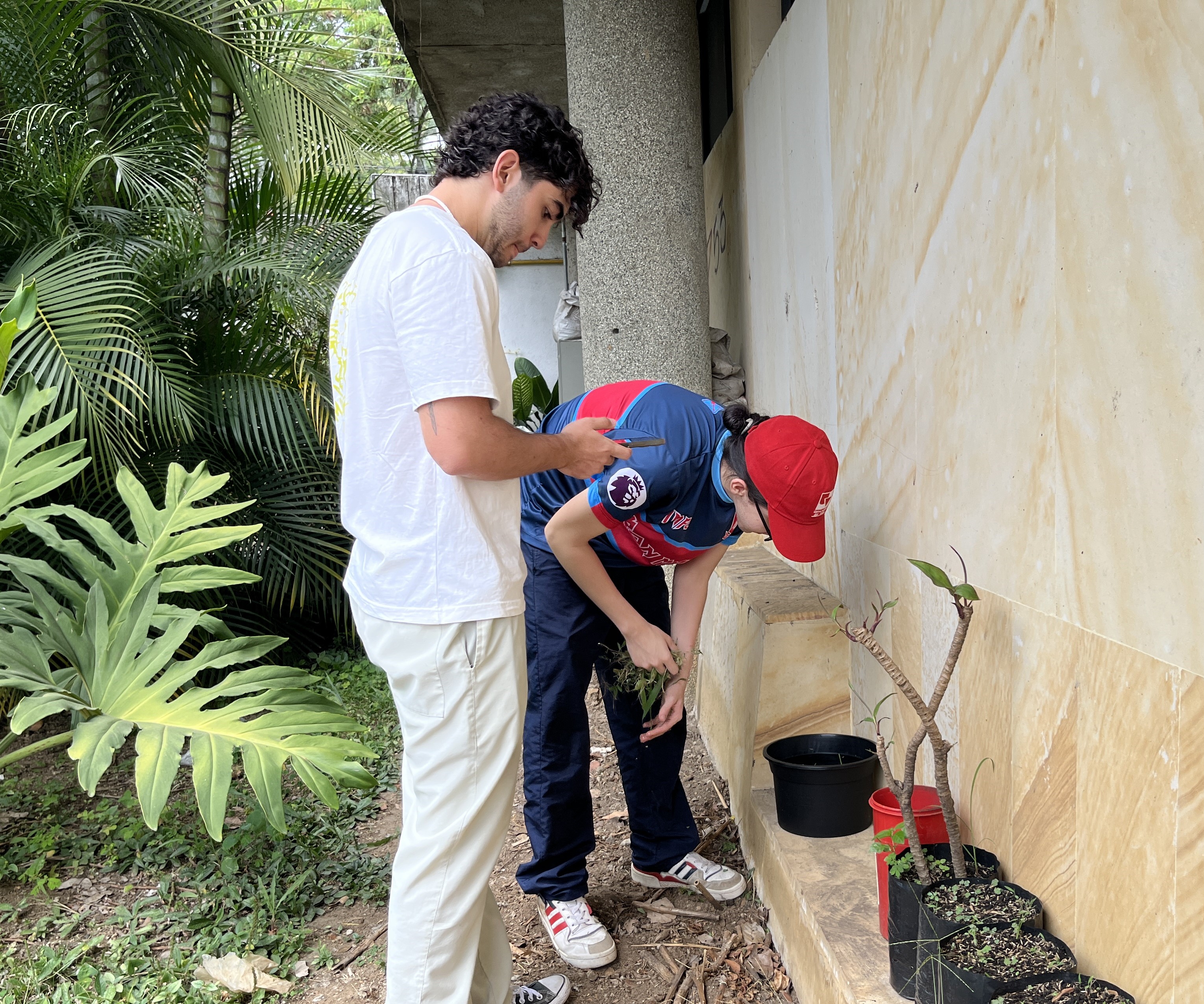Instalaci&oacute;n de trampas para mosquitos en el campus San Fernando de la Universidad del Valle.