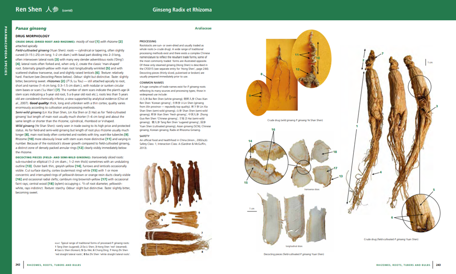 Identification Guide to Panax ginseng Chris Leon