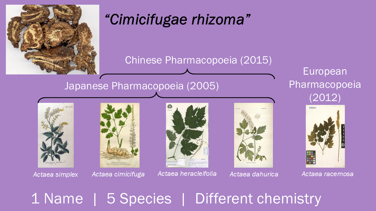 Drug names can be ambiguous