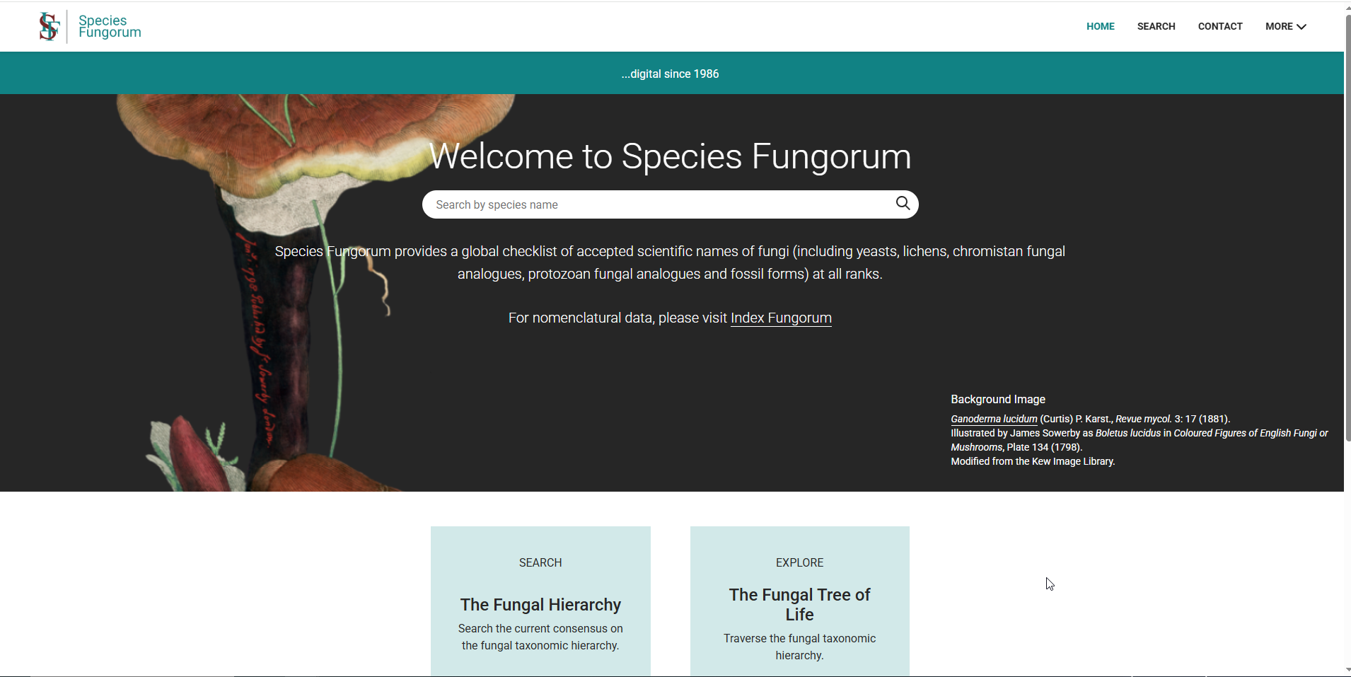 Species Fungorum