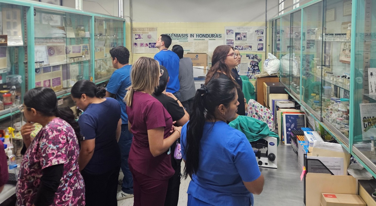 Actividad pr&aacute;ctica en el Servicio de Parasitolog&iacute;a del Hospital Escuela