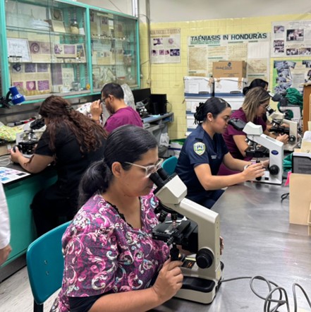 Sesi&oacute;n de laboratorio del taller de diagn&oacute;stico parasitol&oacute;gico