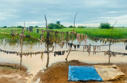 Climate and Health in Tanzania