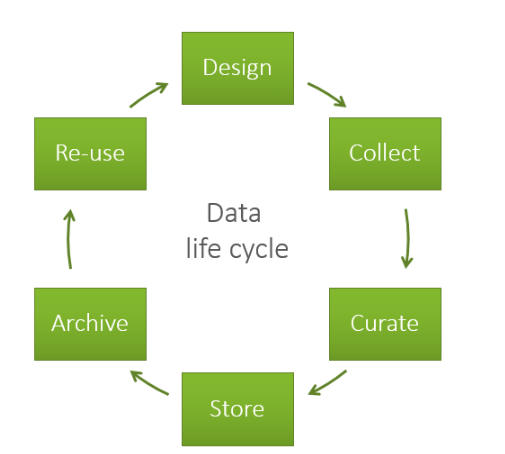 Data Cycle
