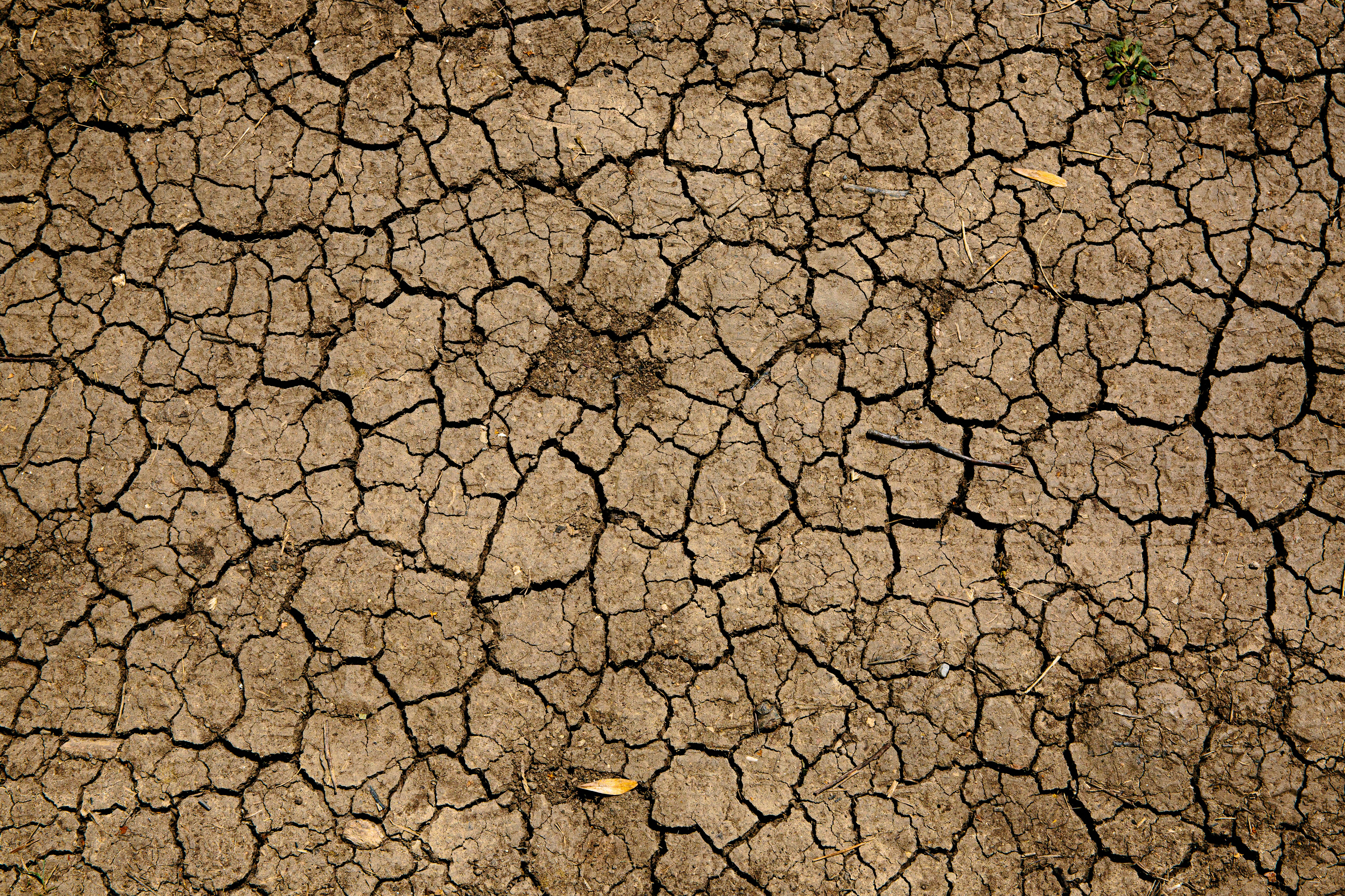 Climate and health