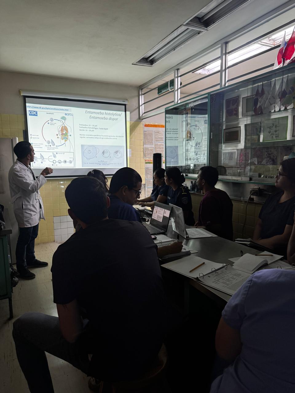 Actividad taller de amebas 2