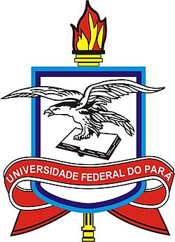 Logo da UFPA