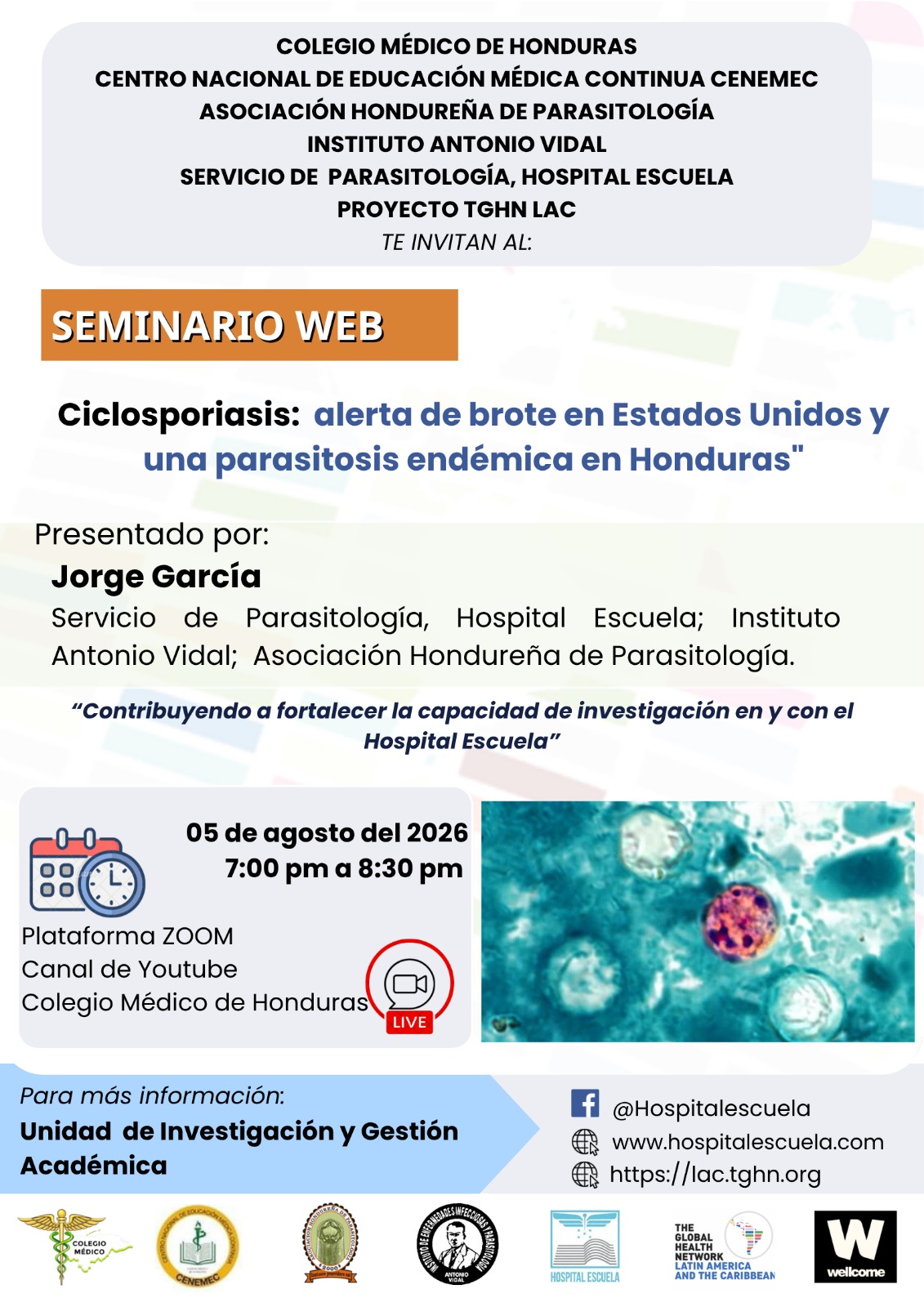 Afiche Seminario Web Ciclosporiasis
