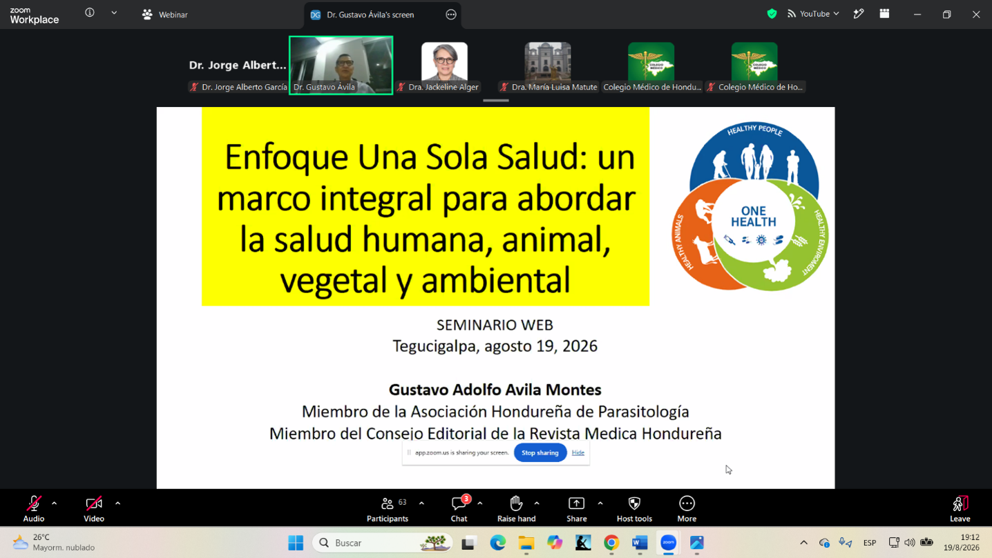 Participantes en plataforma Zoom