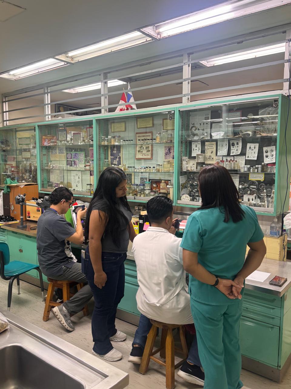 Actividad práctica del Taller 4 sobre malaria