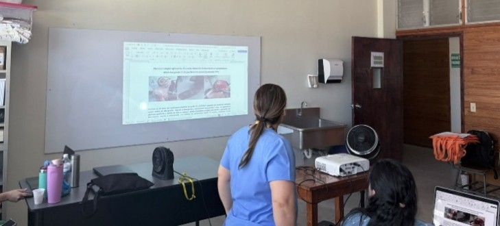 Presentaci&oacute;n y retroalimentaci&oacute;n