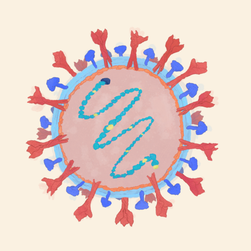 Illustration of Nipah virus virion